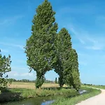 ;Tenuta Lio Maggiore 101S